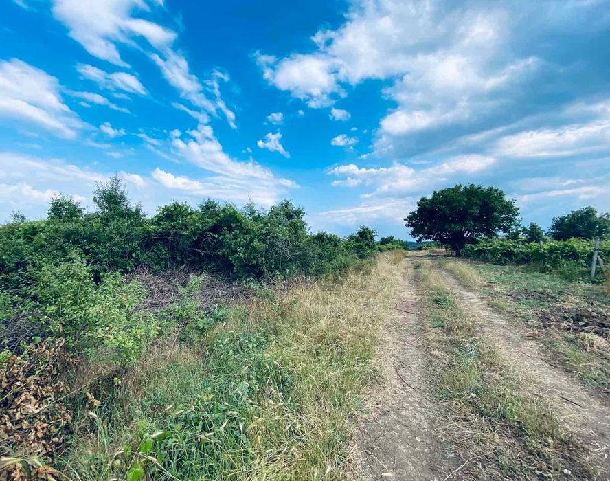 Продава се Земеделски имот в Варна, Възраждане 1 -  кв.м за 30 €/дка - Снимка #2