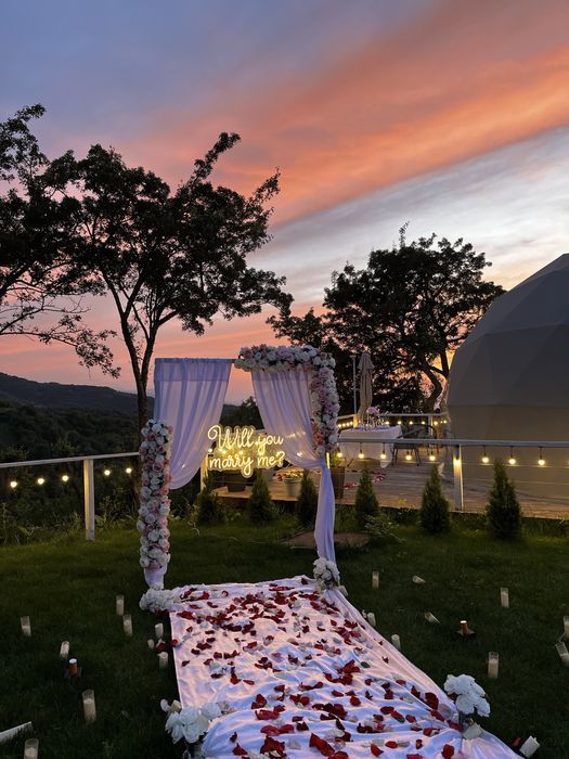 Предложение руки и сердца