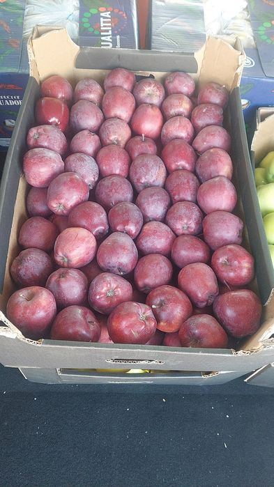 Обыш,Фрутти даставка жасаймыз