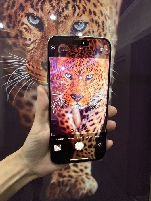 Продам iphone 16 pro max в идельном состоянии
