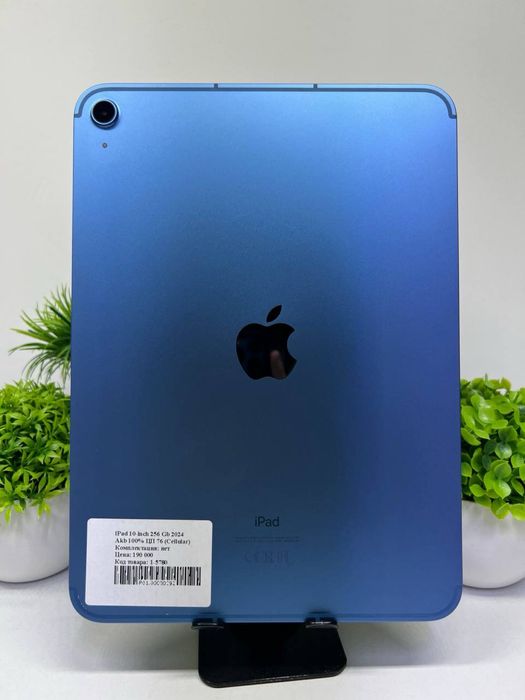 iPad 10-inch 256 Gb 2024