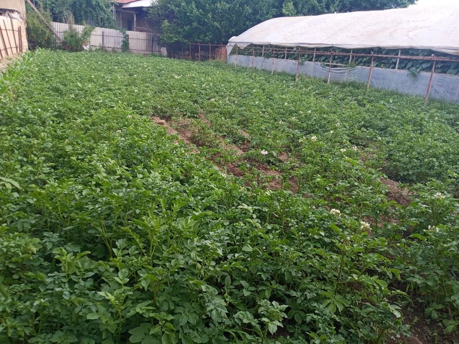 Uy sotiladi Xasanboydan