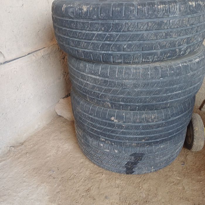 Полик ва болонлар сотилади кобальтники