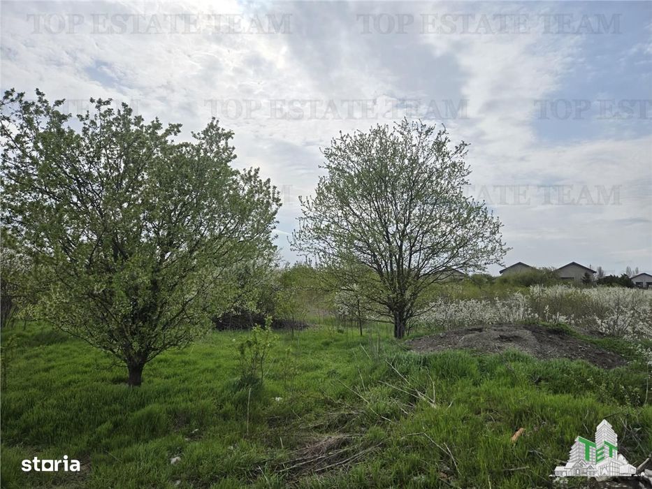 TEREN INTRAVILAN la 20 minute de Bucuresti