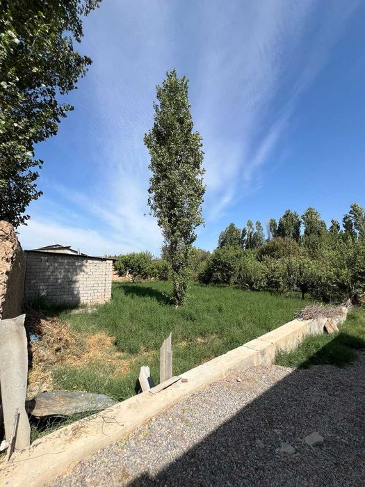 11.7 sotix yer sotiladi orentir bozsuv most SROCHNA