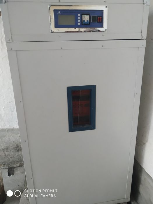 Enkubator Jo'ja ochish uchun