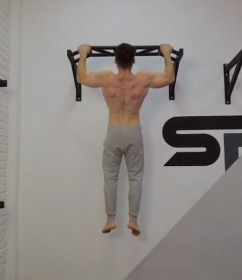 Турник настенный Мултихватом профессиональный