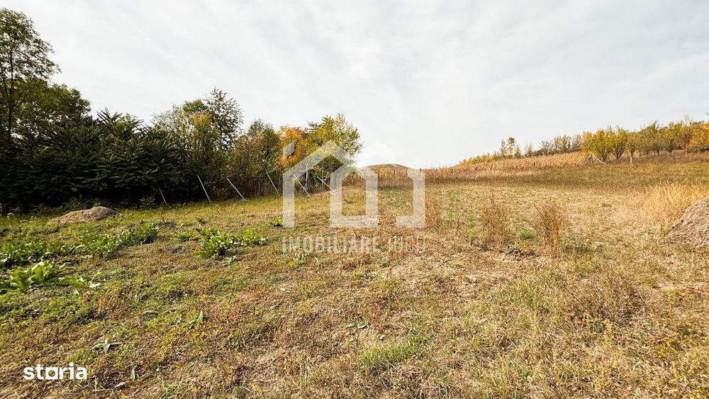 1.838 mp Construibil | Front 25,6 m | Zonă Rezidențială – Gădălin