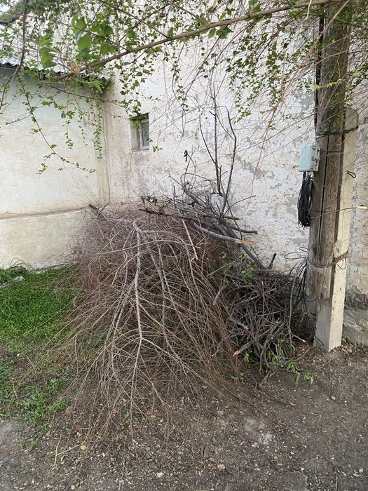 Дрова для использования