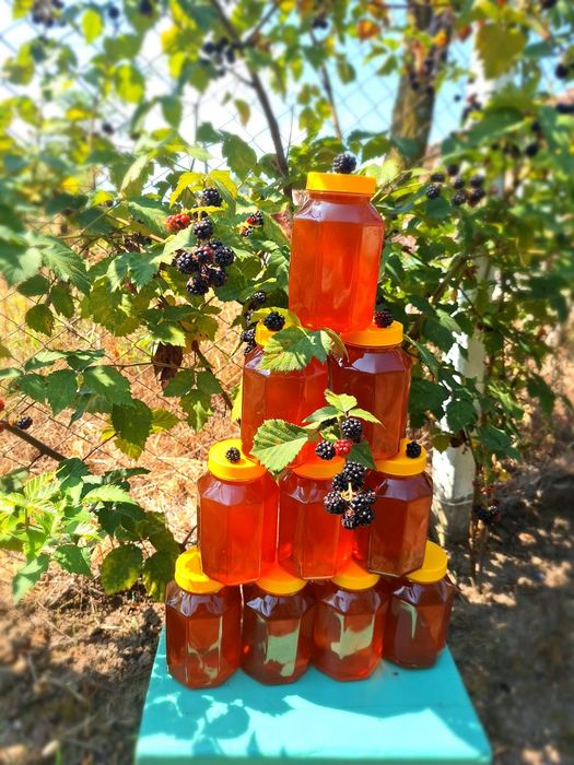 Miere de Albine 100% naturală