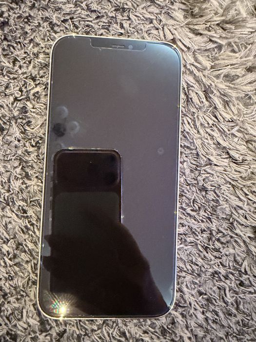 iPhone 12 Pro Max Silver