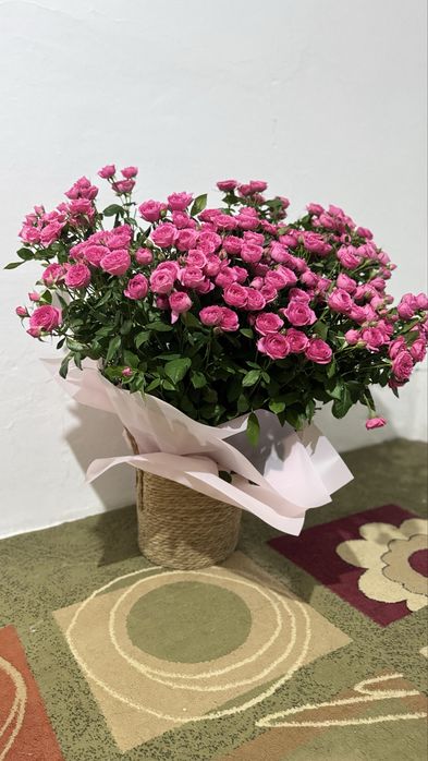 Срочно продам Цветы