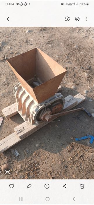 Узум янчигич вено