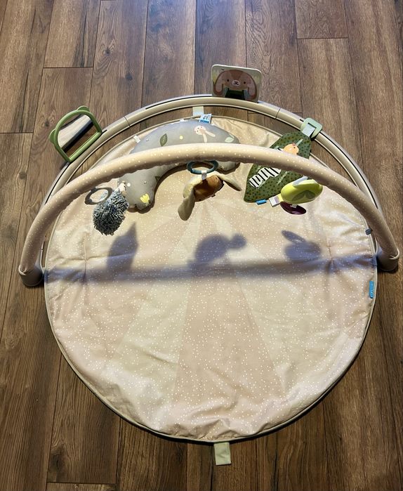 Музикална активна гимнастика Taf Toys