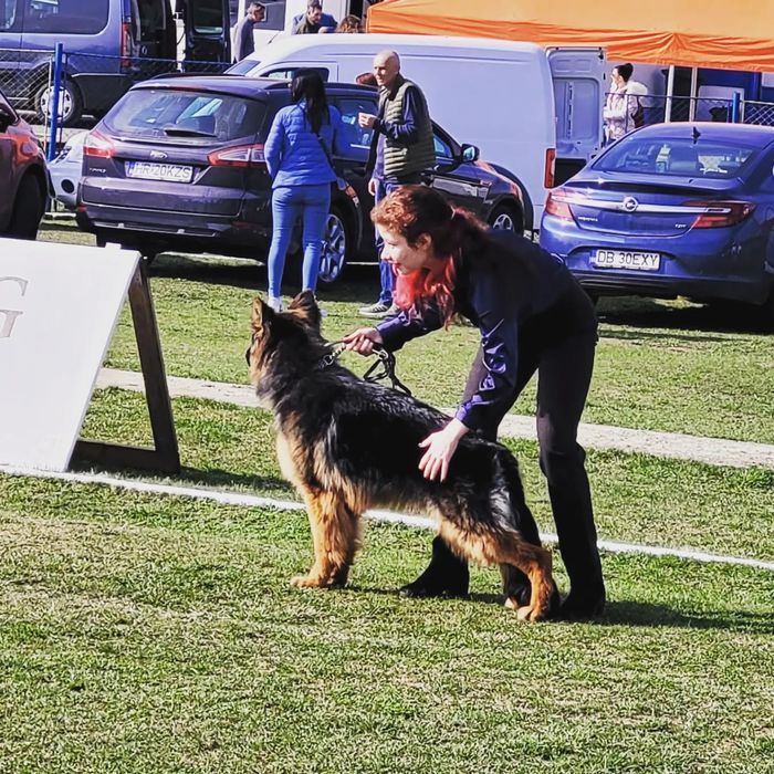 Dresaj si psihologie canina