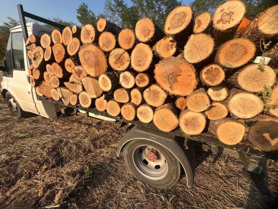 Дърва за огрев Дъб Бук