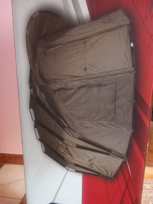 Cort Nou Quad xxl 2G