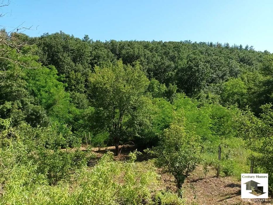 Продава се Къща в с. Буковец, Област Велико Търново - 25 кв.м за 980 €/кв.м - Снимка #4