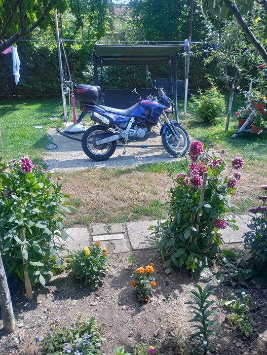 Vând sau schimb Aprilia Pegasso 650