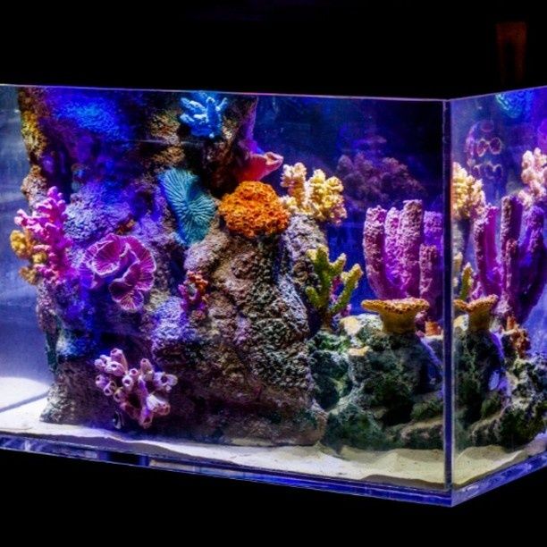 Acvarii din plexiglas la orice dimensiuni si forme