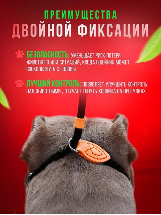 Поводок ошейник контроллер ринговка