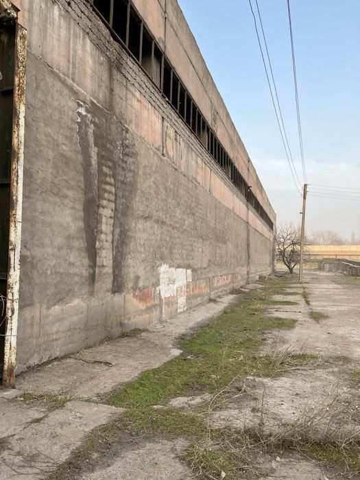 Сдаётся база в аренду 11 гектаров, 8.000 кв.м, Ор-р Ахангаран !!!