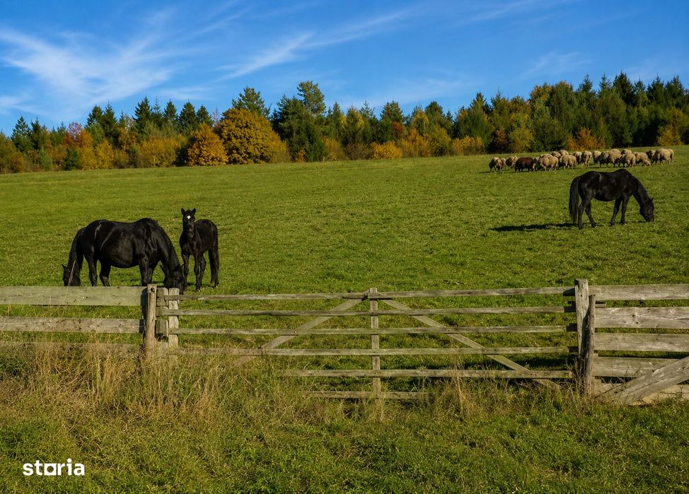 Teren SUPERB la munte, INTRAVILAN, statiunea Covasna