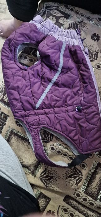 Продам безрукавку для мопса.