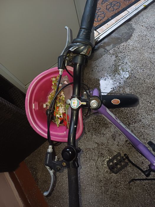 Bicicleta copii fete