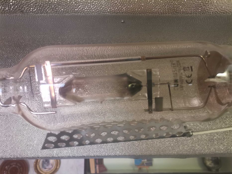 Лампа за растения, разсад