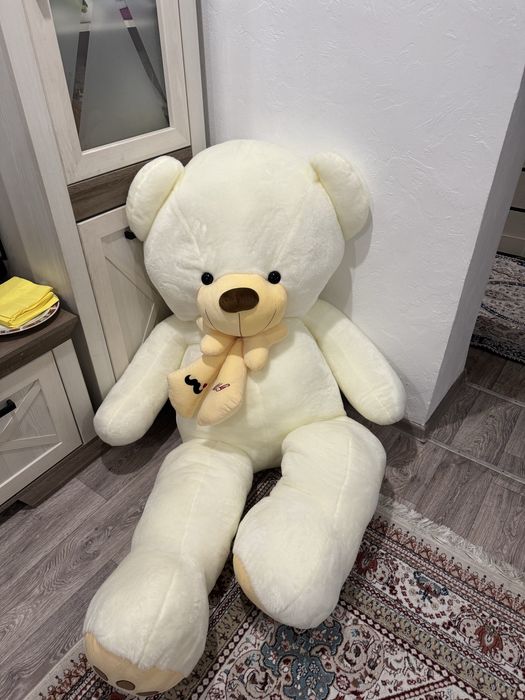 продам большего мишку