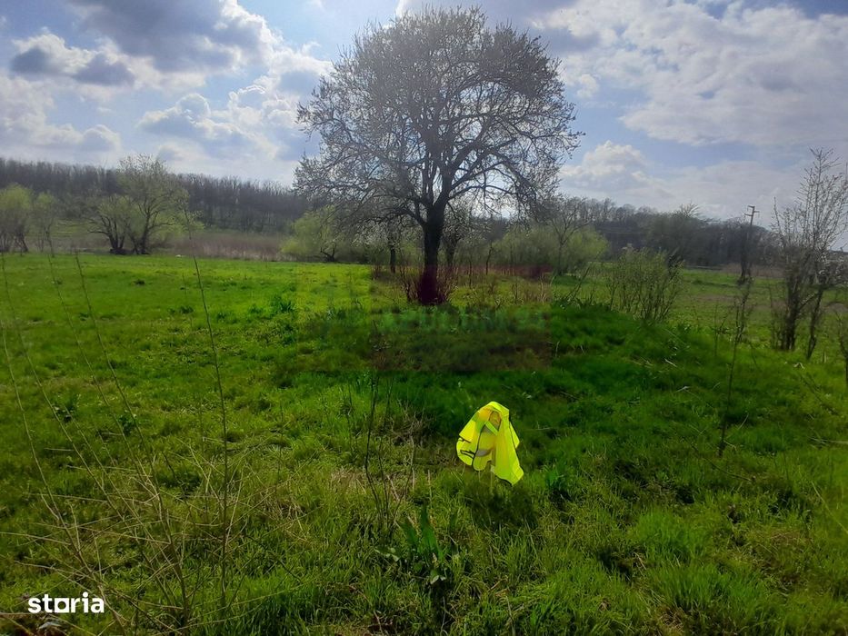 De Vanzare Teren 3400 Mp In Sat Podu Ilfovat / Com Buturugeni (Gr)