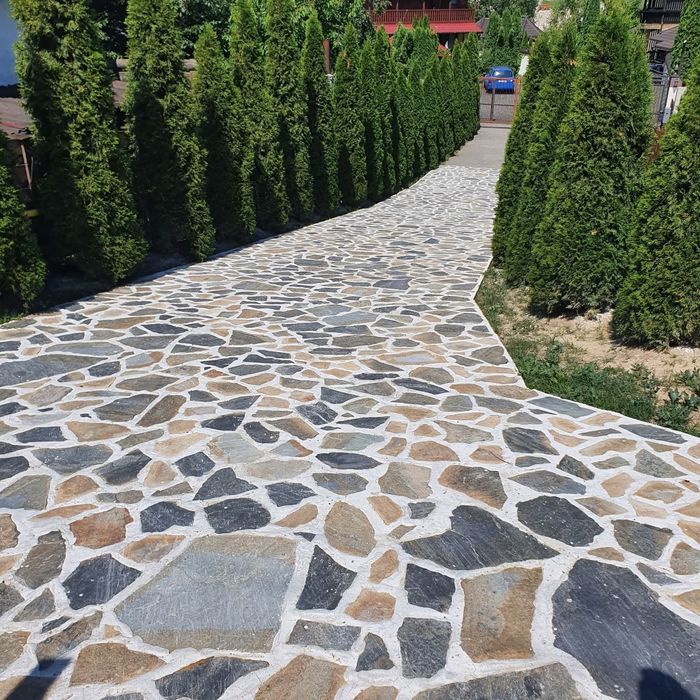 Plante ornamentale pentru gradina