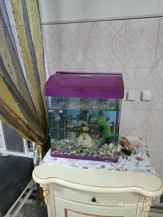 Продам Аквариум с рыбками