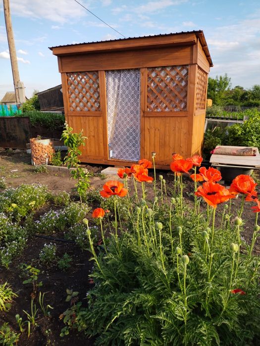 Продам дачный участок общество "Ромашка"