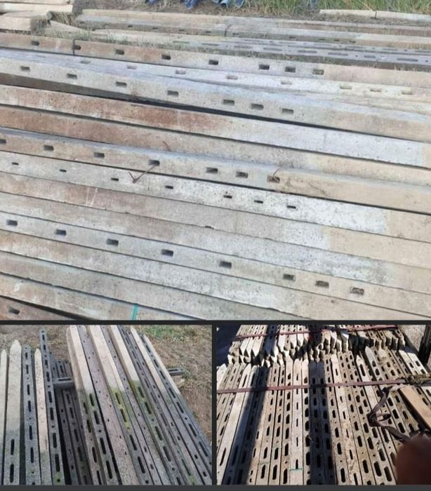 Pari  din  beton/Spalieri