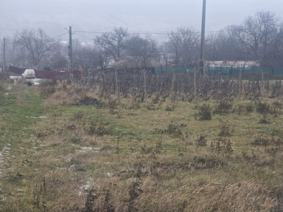Teren  la tara 2500 m2