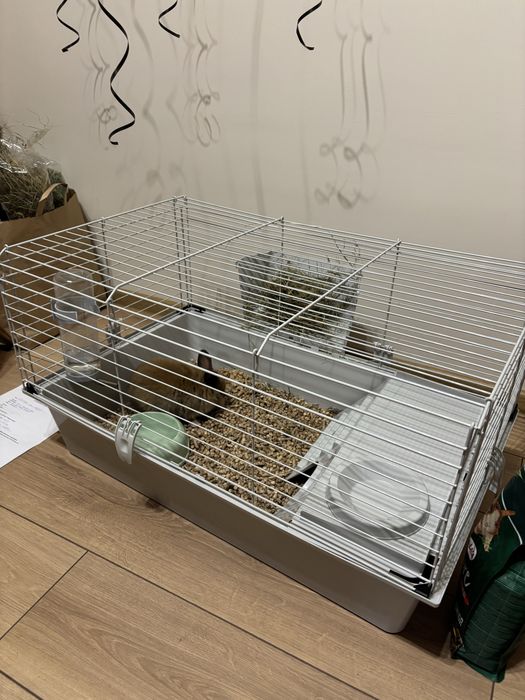 Декоративно зайче