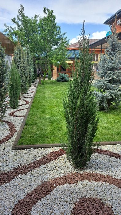 Посадка, устройство рулонного газона