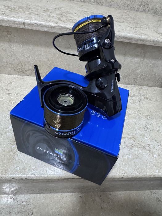 Mulineta Preston Intensity