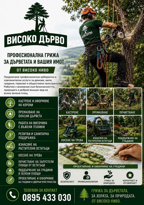 Рязане, кастрене и оформяне на опасни дървета (Арборист)