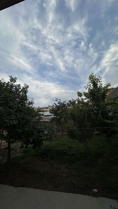 Xovli sotiladi 3 sotix