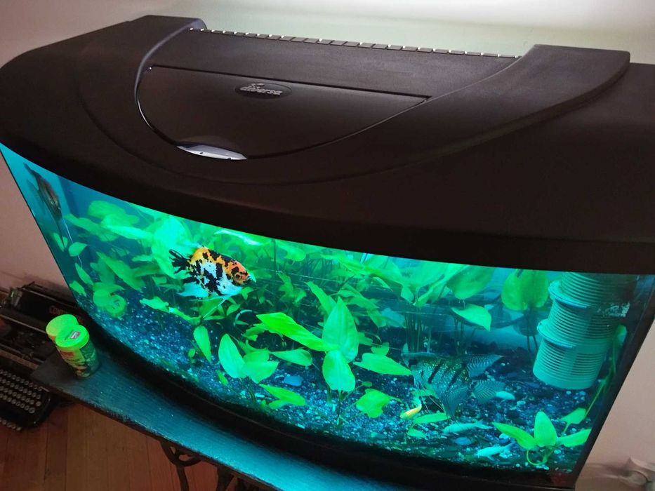 Acvariu full echipat+pesti,plante,filtru extern,intern,etc