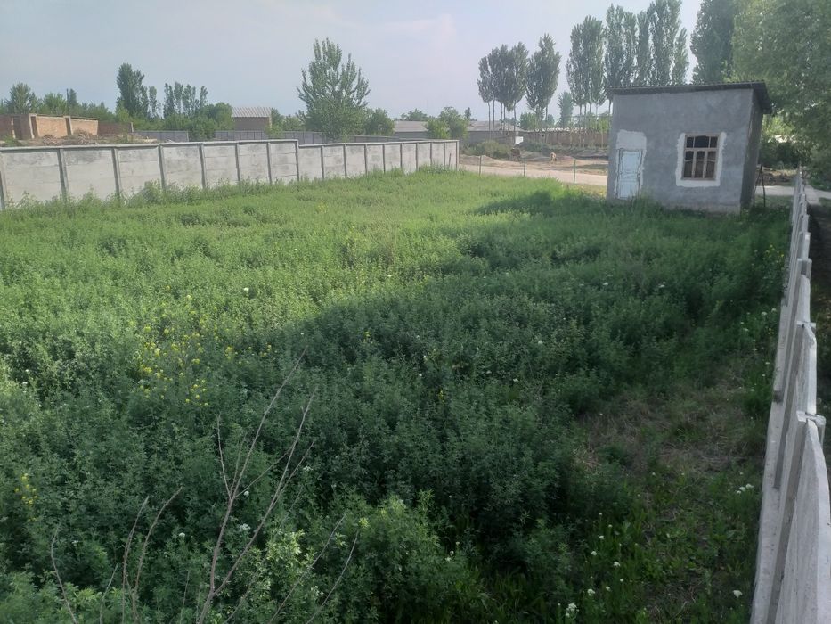 Yer uchastkasi sotiladi