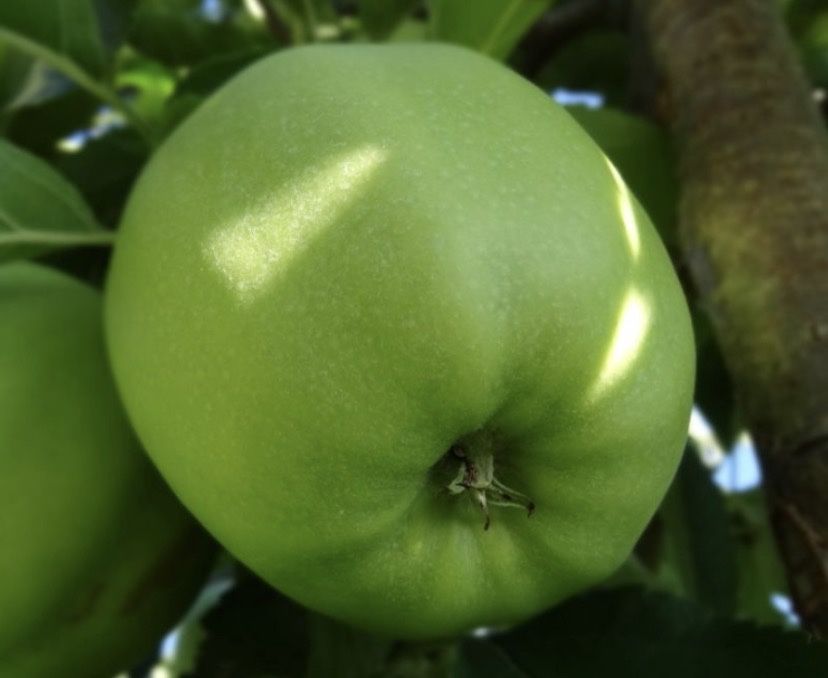 Vand mere vrezi naturale