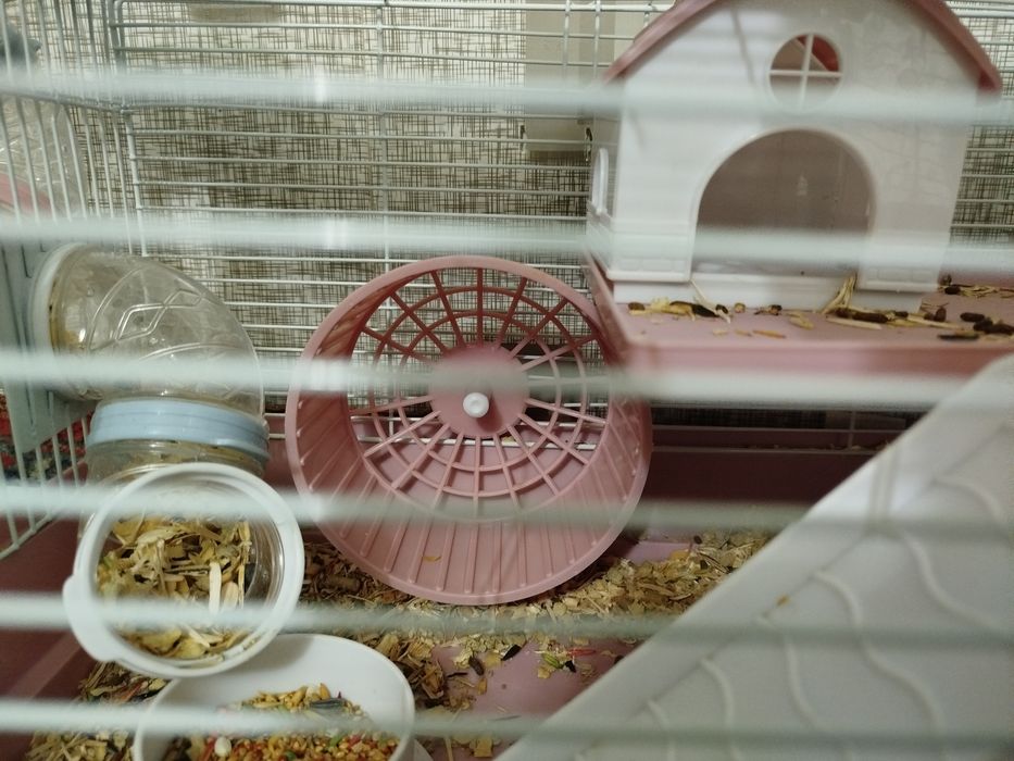 Хомяклар учун катта кафас