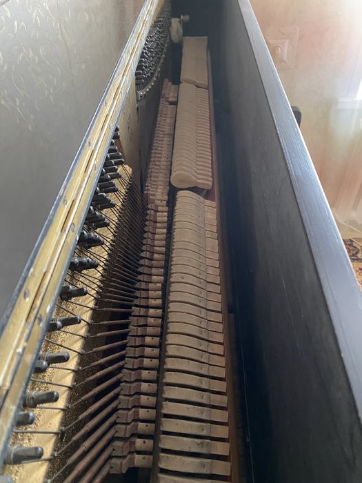 Беларусь пианино