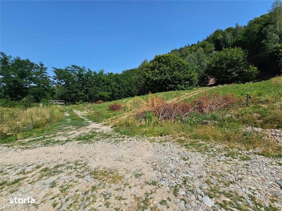 Alzza Real Estate – Teren intravilan de vanzare in Salicea, Cluj – 117