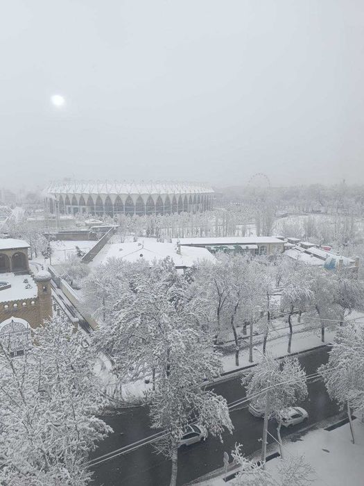 Своя 4-х комнатная квартира