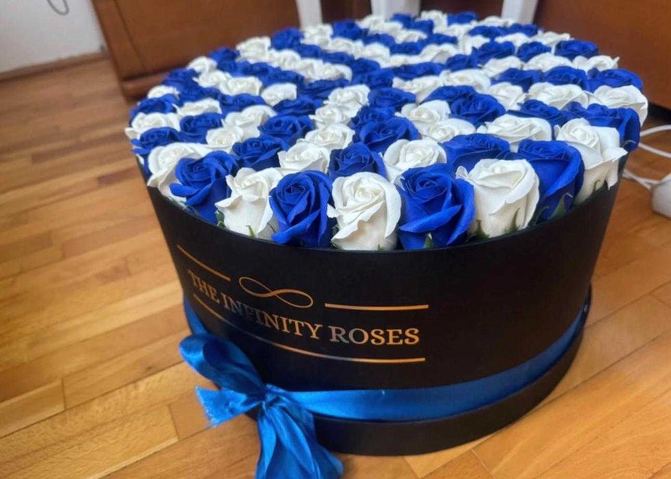 Cutie trandafiri Infinity
